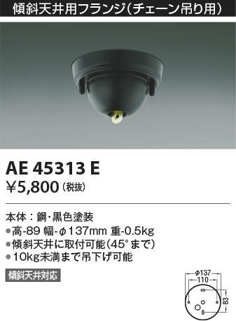ae45313e