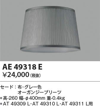 ae49318e