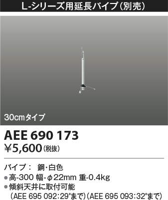 aee690173