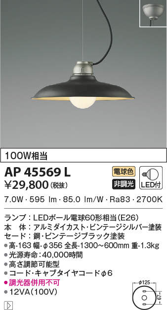 ap45569l