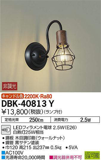 dbk40813y
