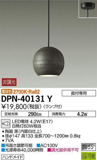 dpn40131y