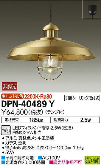 dpn40489y