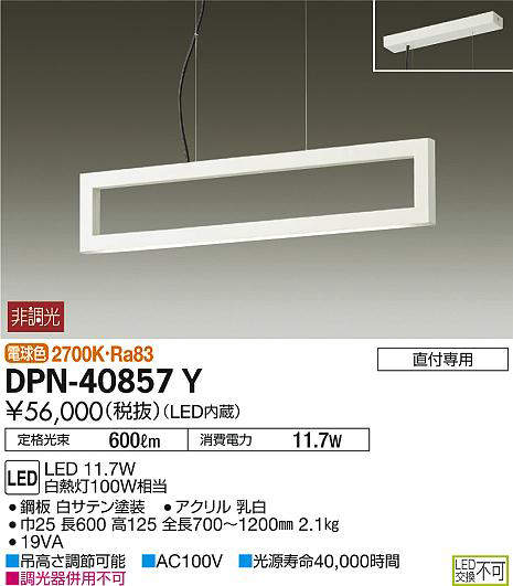 dpn40857y