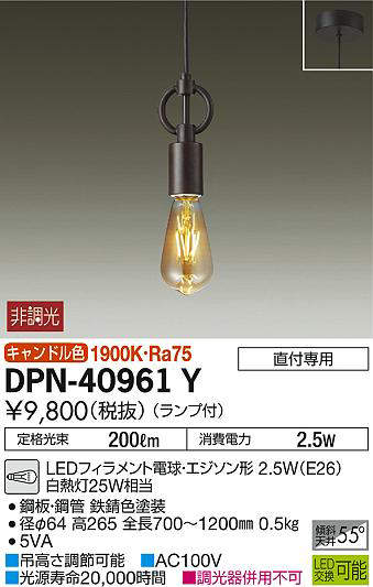 dpn40961y