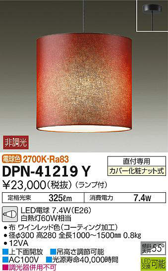 dpn41219y
