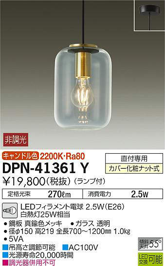 dpn41361y