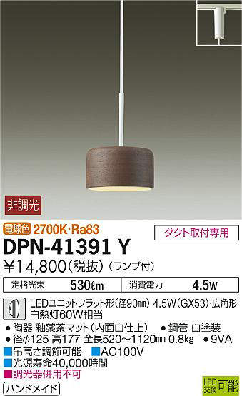dpn41391y