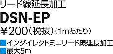 dsnep