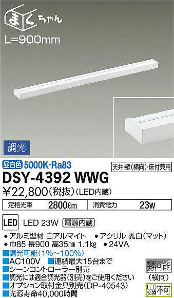 dsy4392wwg