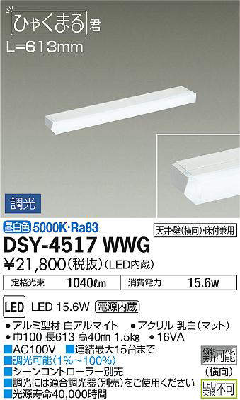 dsy4517wwg