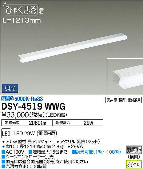 dsy4519wwg