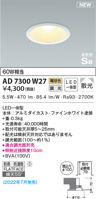 ad7300w27