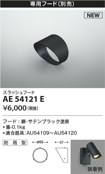 ae54121e