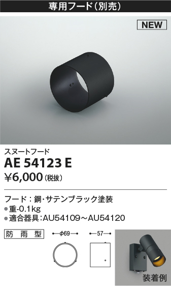 ae54123e