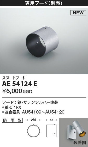 ae54124e