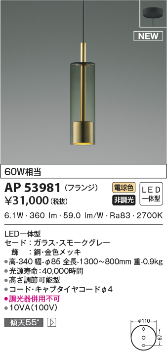 ap53981