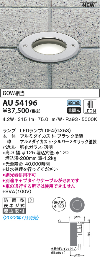 au54196