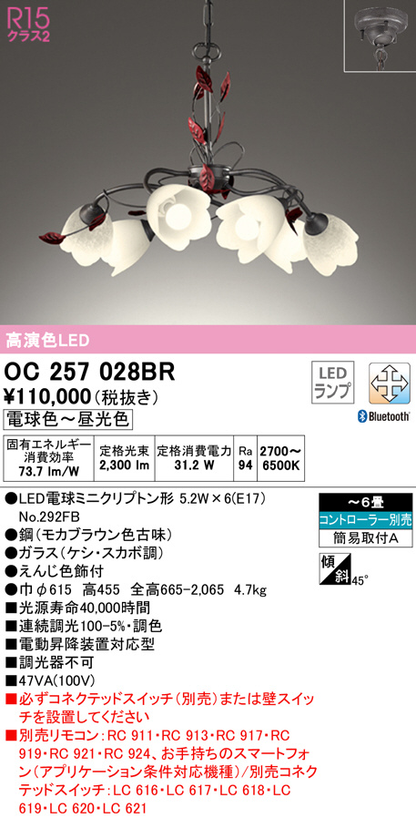 oc257028br