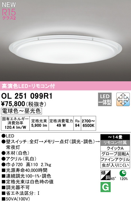ol251099r1