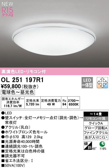 ol251197r1