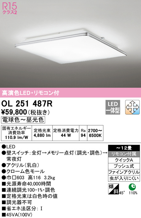 ol251487r