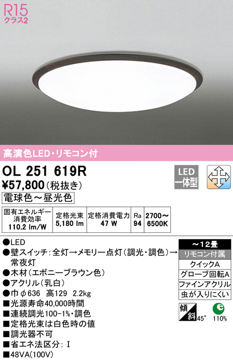 ol251619r
