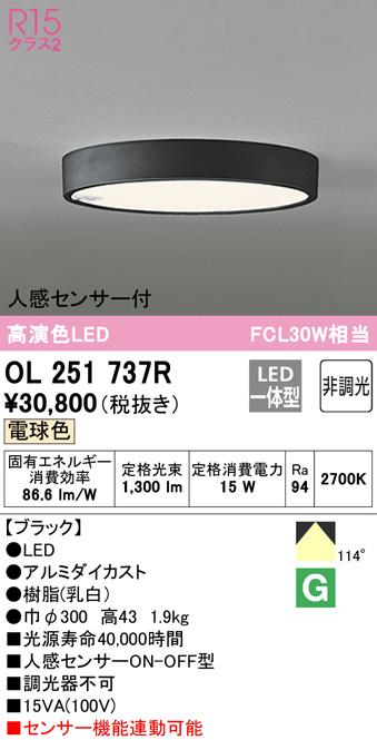 ol251737r